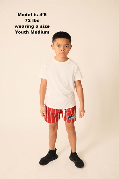 Devil Rays Pinstripe mesh shorts